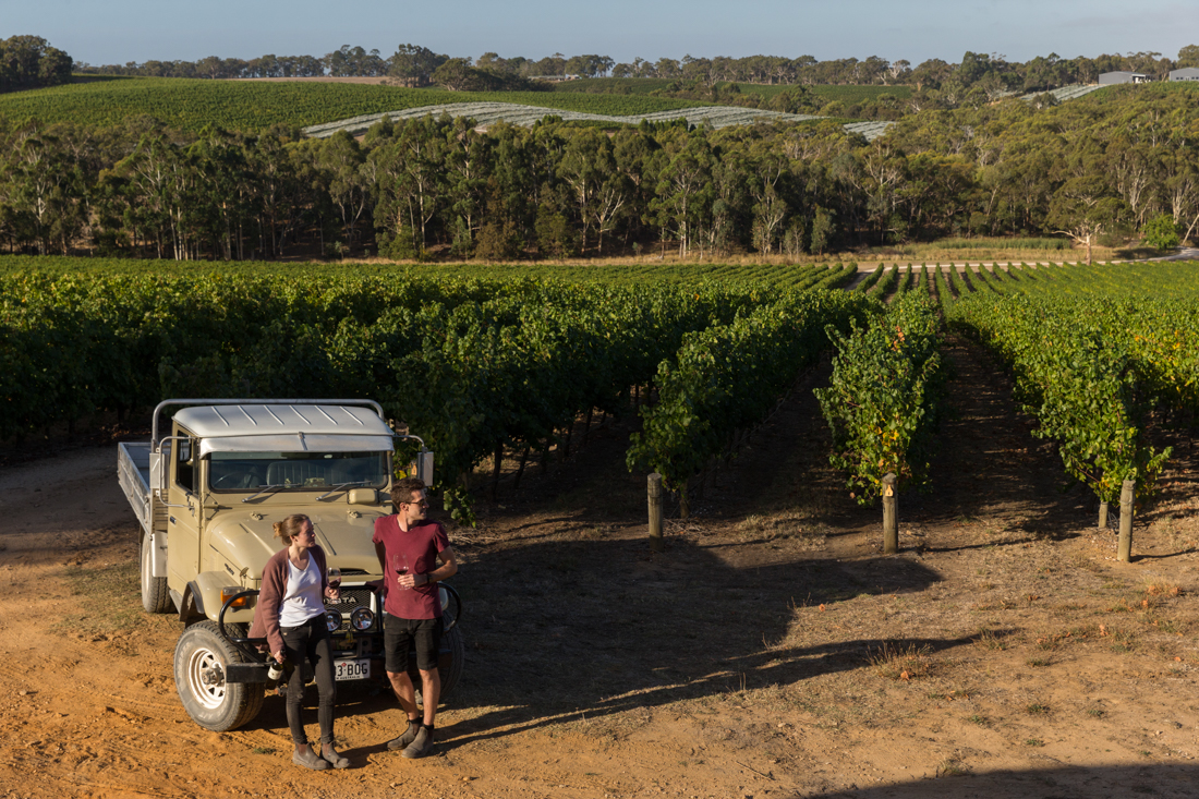 A man and woman drinking wine by their jeep parked in the vineyard